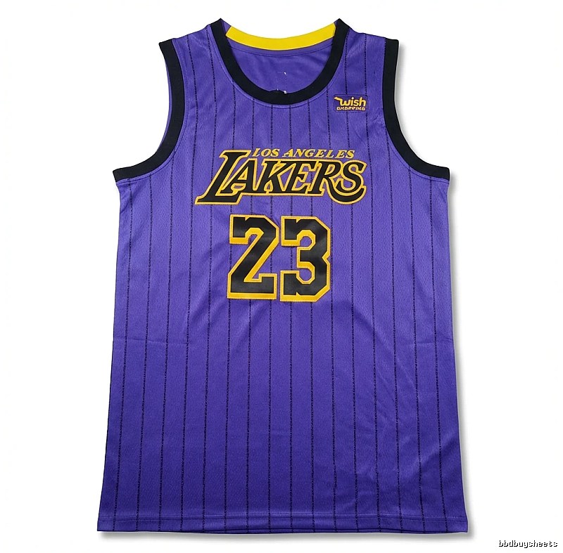 LBJ Lakers retro purple jersey