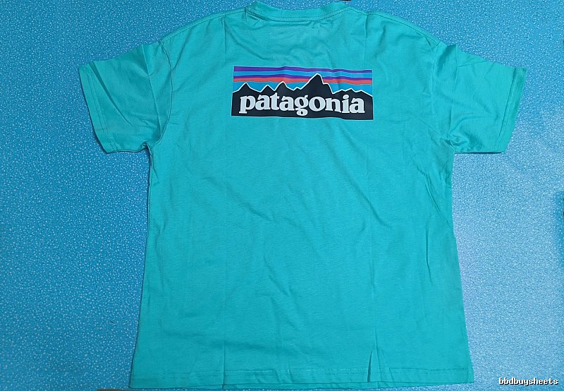 Patagonia Blue Logo T-Shirt Training Look Graphic
